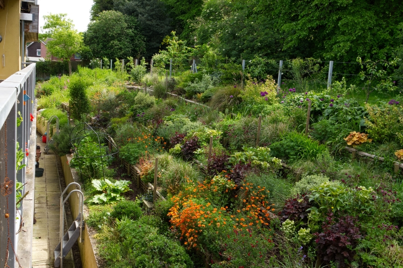 Cannock Mill Cohousing Gardens