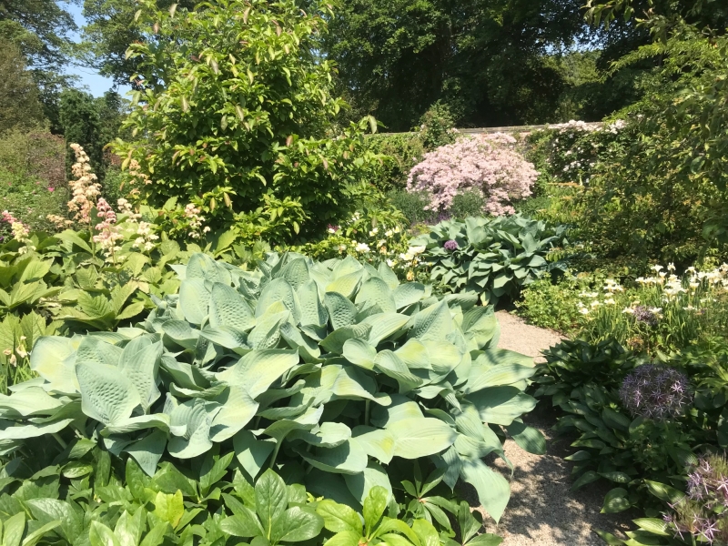 The Walled Garden at Middleton Lodge