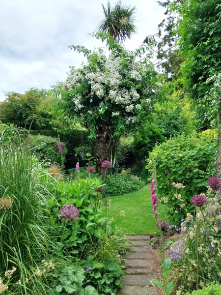 Dorset Cottage