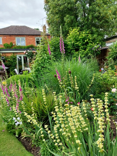 Dorset Cottage