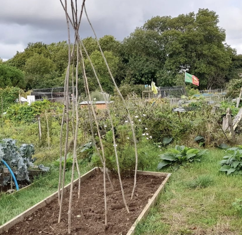 C2C Grows – Community Allotment Garden