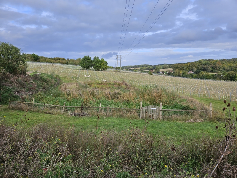 New Barns Farm