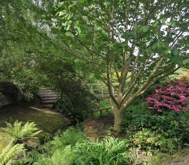 35 Sheridan Drive image