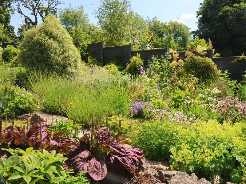 Gorsey Bank Gardens