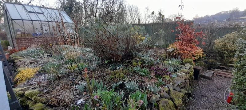 Fern Bank