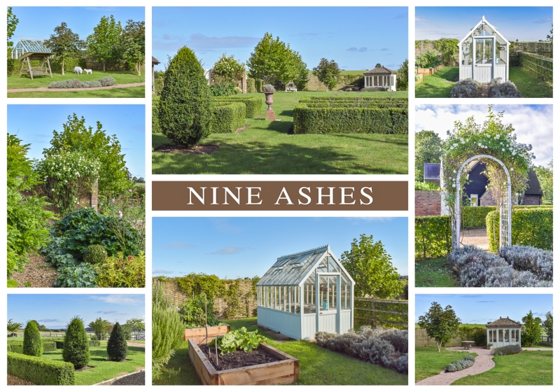 Nine Ashes image