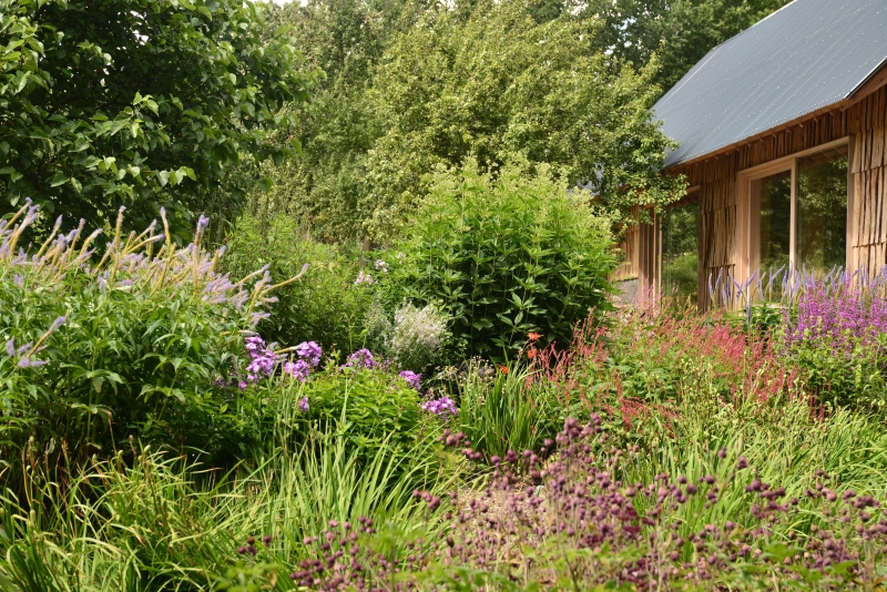 The Plant Library