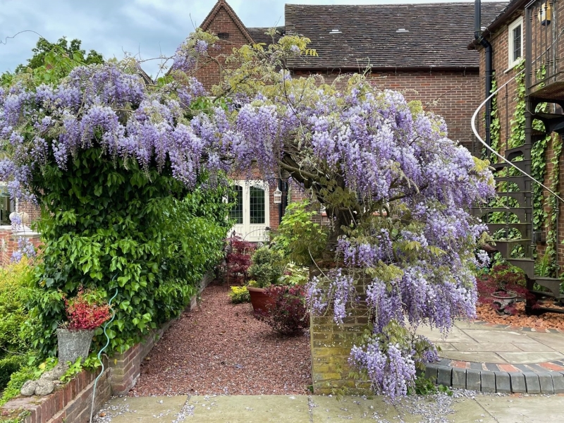 Weatheroak and Wythall Gardens