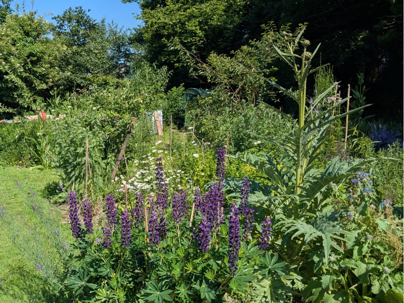 Chagford Community Gardens