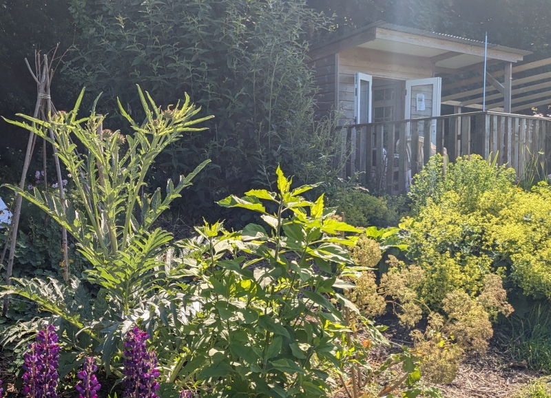 Chagford Community Gardens