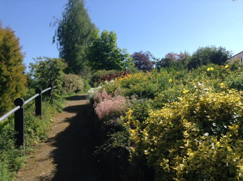 Llanidloes Gardens