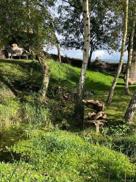 Rookery Cottage