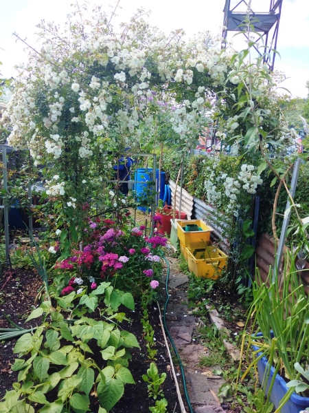 Burial Ground Allotments