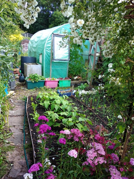 Burial Ground Allotments