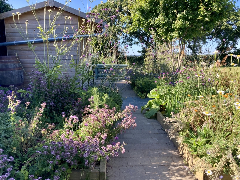 Mawnan School Nature Garden