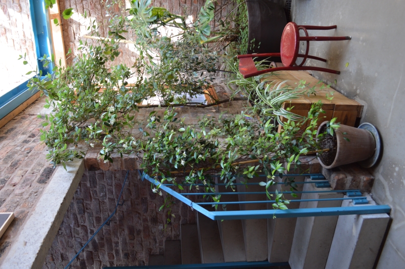 Granby Winter Garden