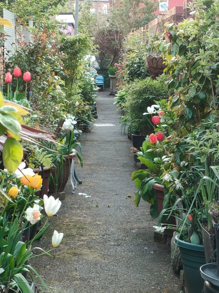 Granby Back Alley Garden