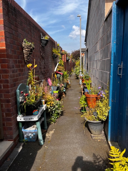 Granby Back Alley Garden