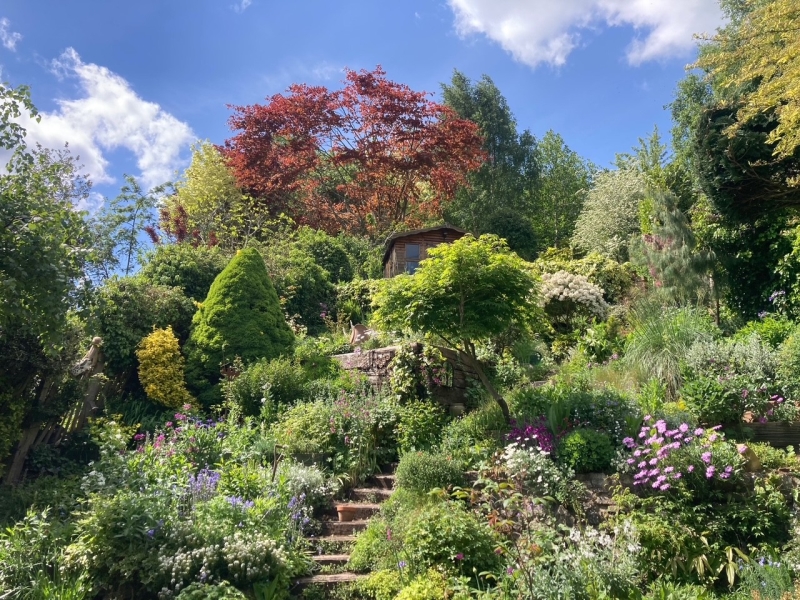 Bramble Ridge