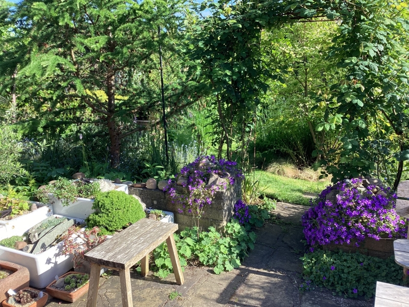 Fern Lodge