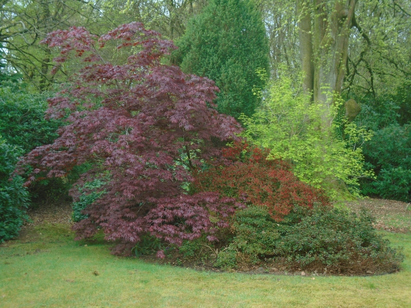 Feldemore Corner
