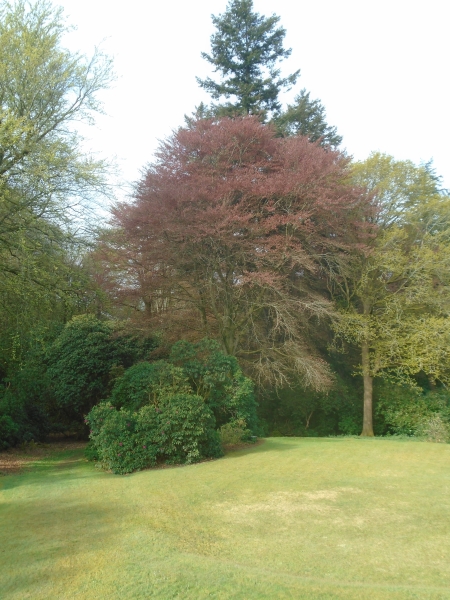 Feldemore Corner