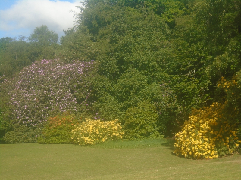 Feldemore Corner