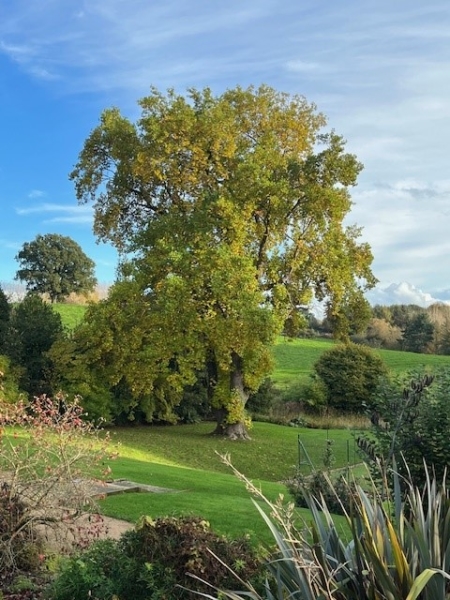 Knolton Hall