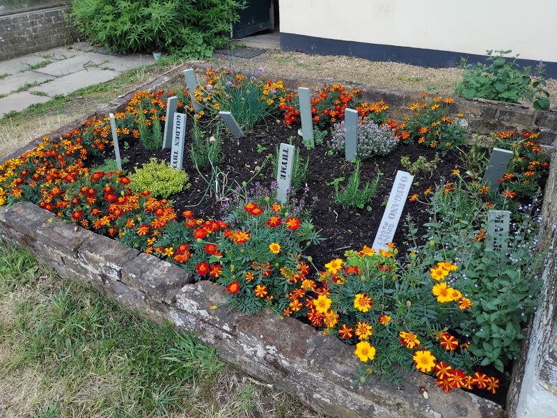 Stud Nursery Community Garden