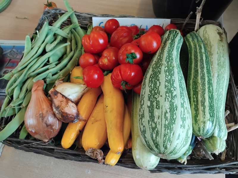 Stud Nursery Community Garden