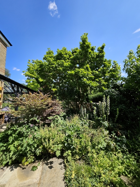 93 Clarence Road