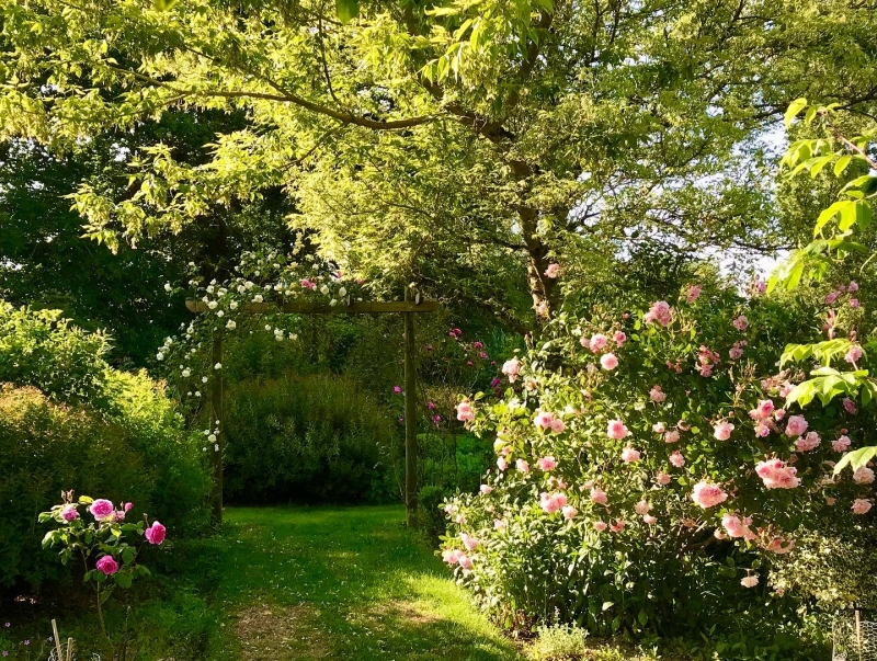 Pond Cottage image