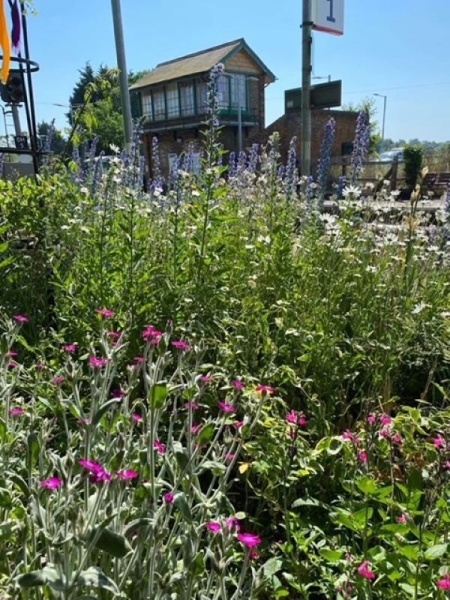 Dullingham Railway Station