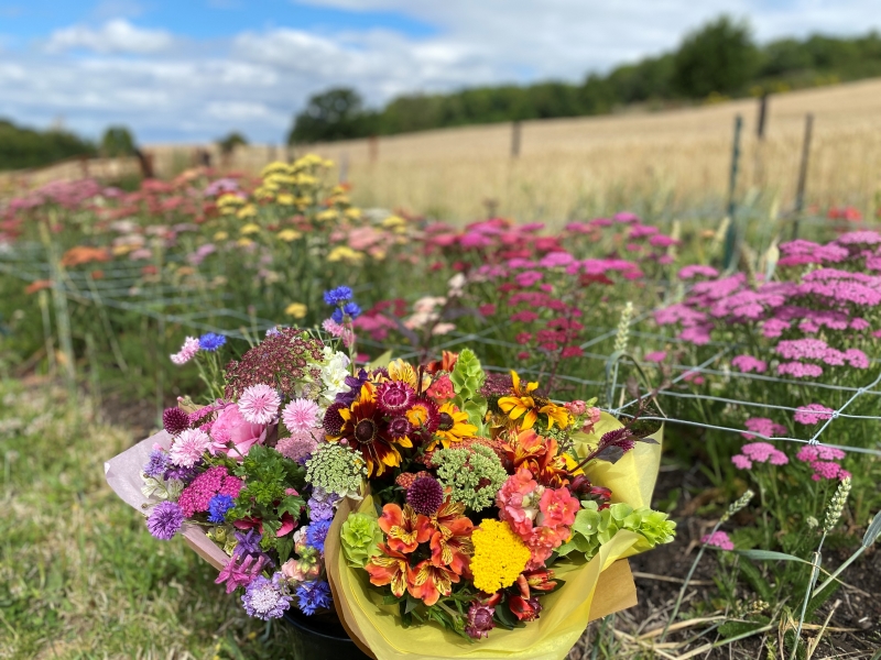 Ledbury Flower Farmer