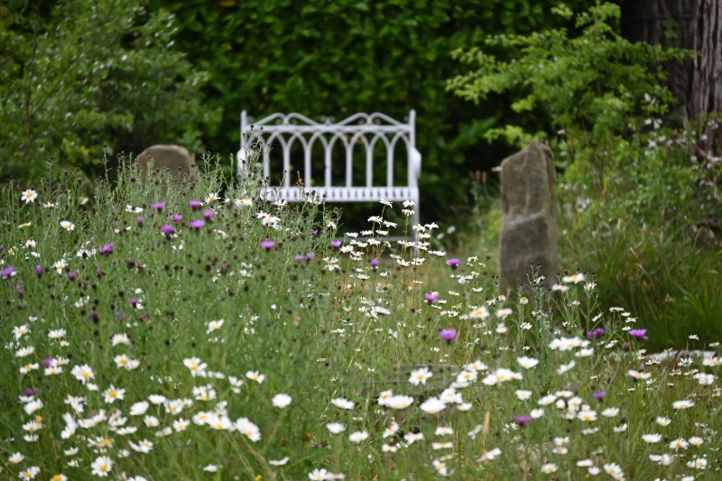 Pines Corner Wildlife Garden