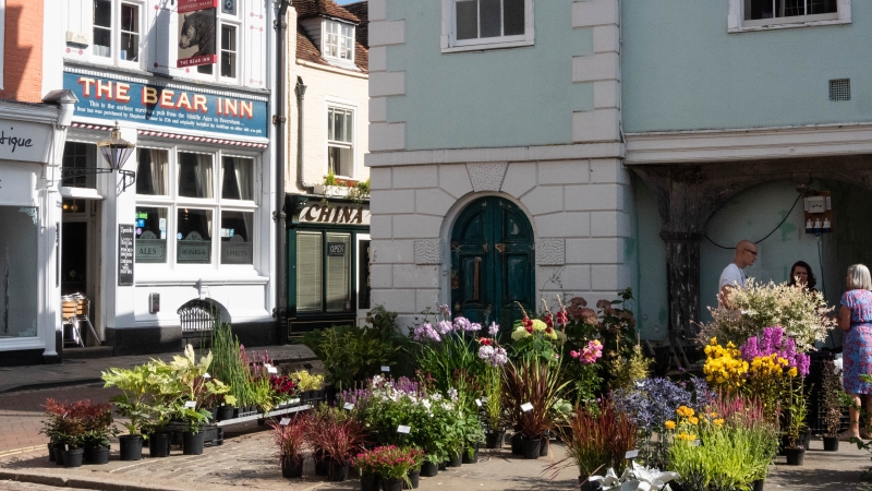 Faversham Open Gardens