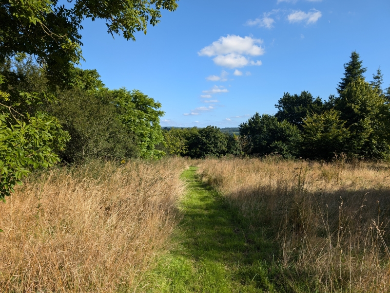 Annwyn Arboretum