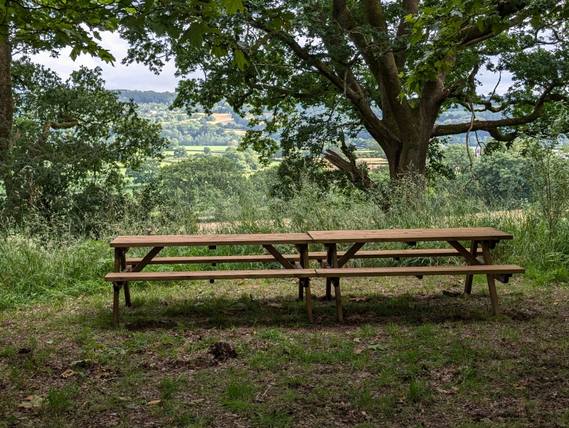 Annwyn Arboretum