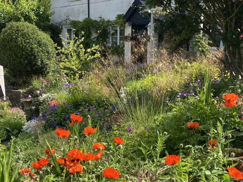 Primrose Cottage