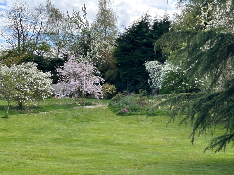 Bramstead House