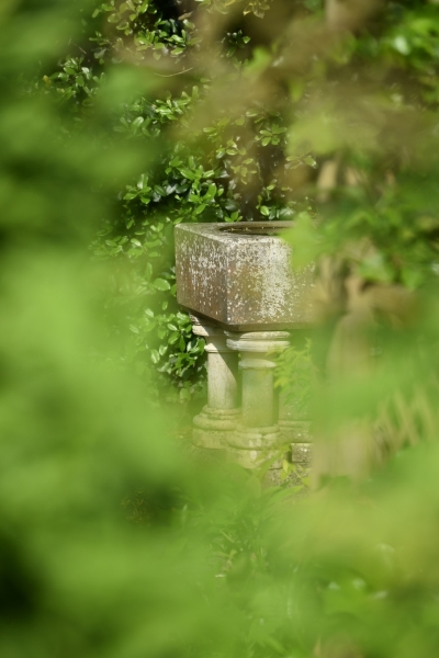 The Old Vicarage