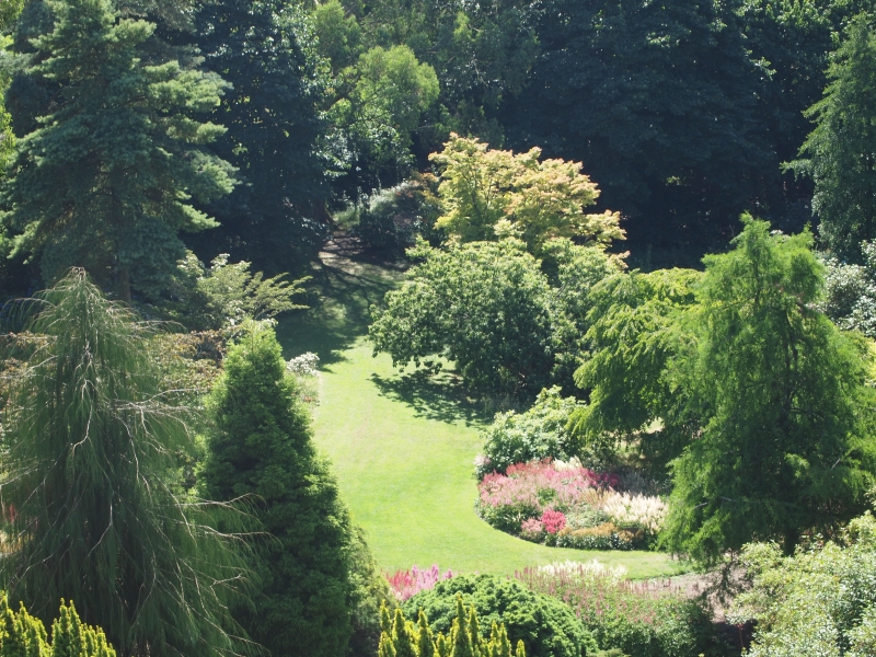 Marwood Hill Garden