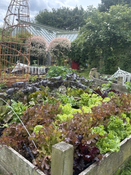 Witts End Gardens