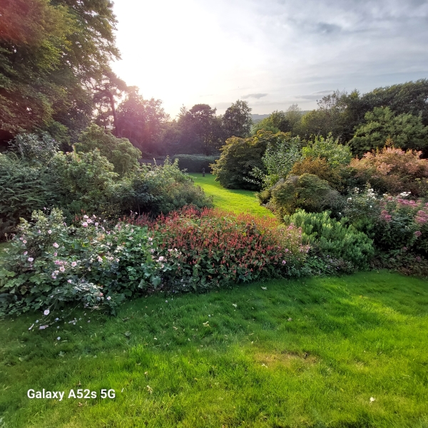 Airlie Cottage image