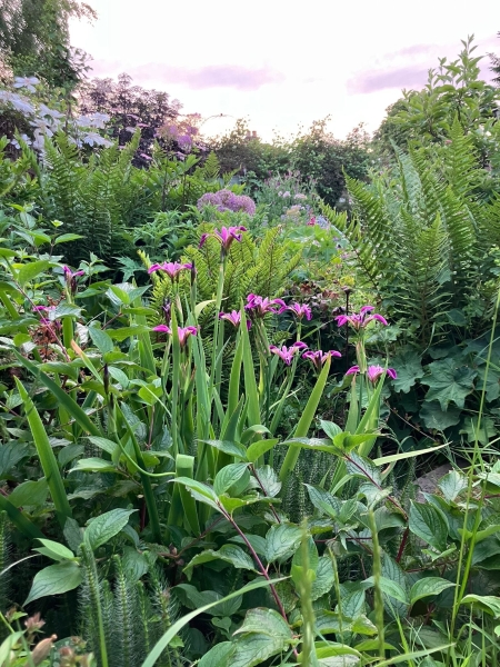 Mapperley Gardens