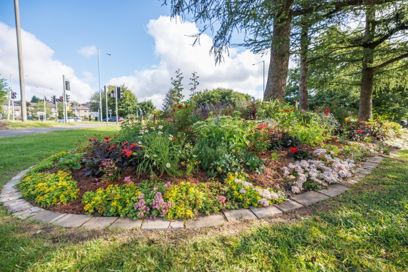 Civic Pride, Rossendale image