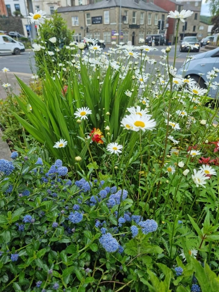 Civic Pride, Rossendale