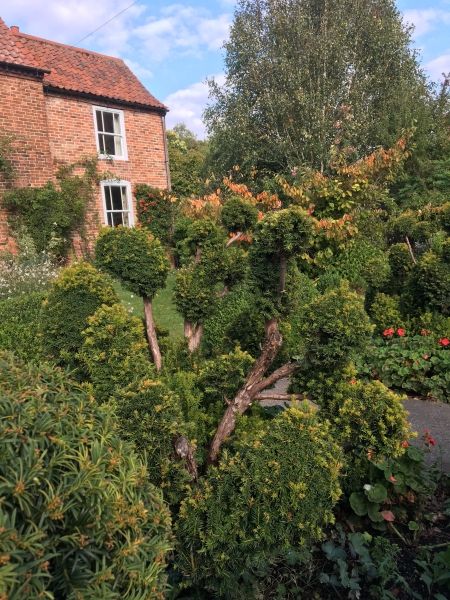 Brook Cottage image