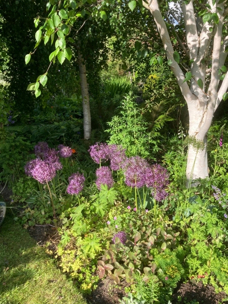 Brook Cottage