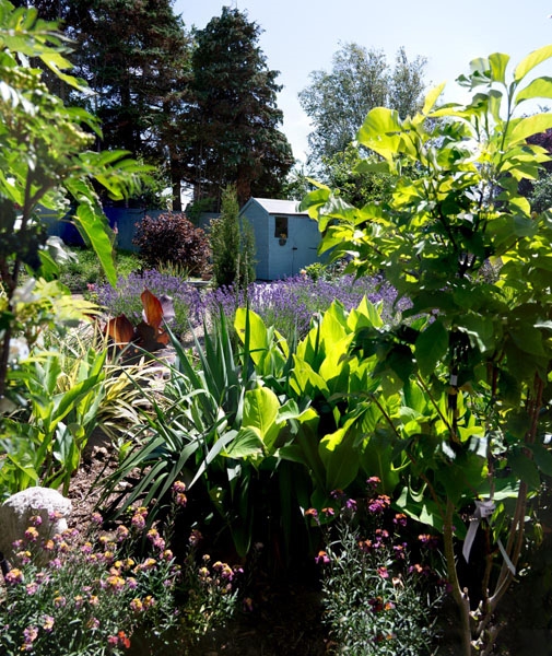 Shellfield Gardens